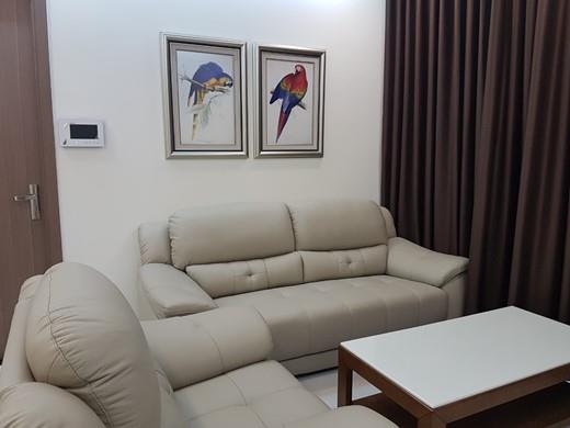 vinhomes central park apartment for rent in binh thanh district hcmc BT105P2678 (5)